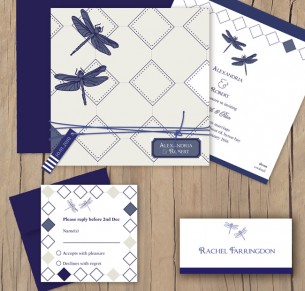 dragon flies package